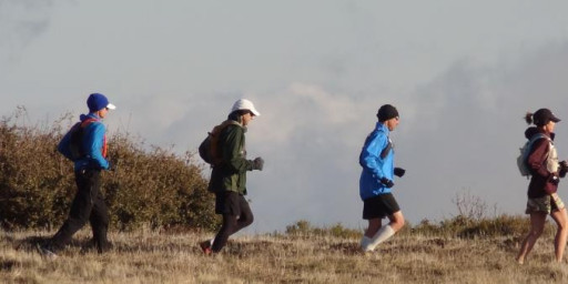 PCT 50