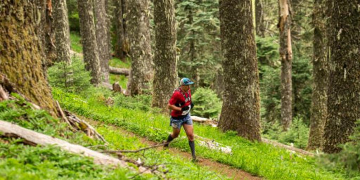 Marys Peak Trail Run