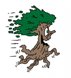 Berryman 50 Mile and Marathon Trail Races