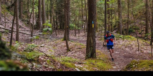 Twisted Branch Trail Run