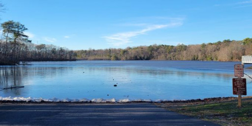 Angela Ivory Memorial Runs