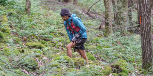 Black Forest Ultra