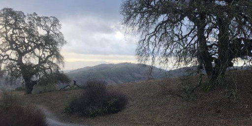 Rancho Hills Trail Run - Summer