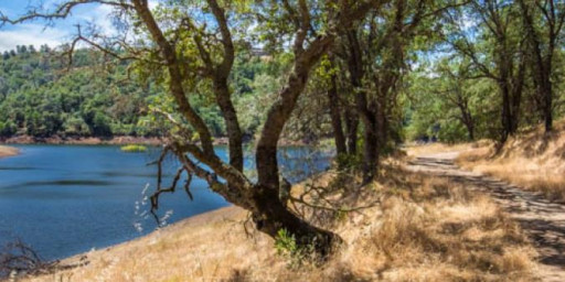 Folsom Lake Sweetwater Trail Run