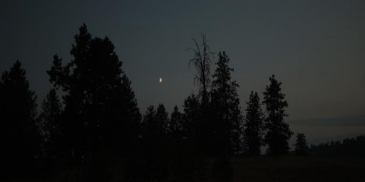 ZERO DARK ULTRA