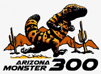 Arizona Monster 300 Endurance Run