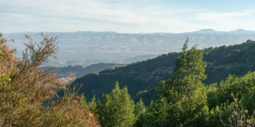 Mt. Umunhum Trail Conquest-Winter
