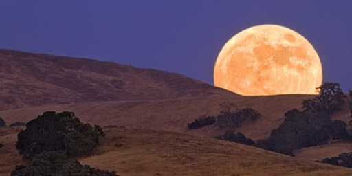 Cool Moon 100 Mile Endurance Run