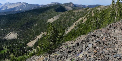 Beaverhead Endurance Runs