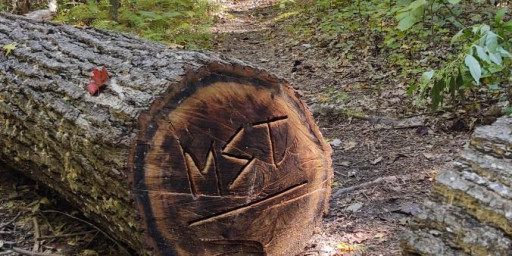 MST 100 Endurance Races