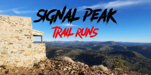 Signal Peak Trail Runs