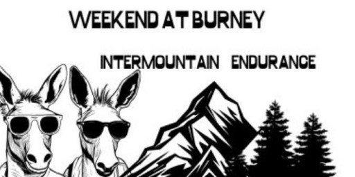Weekend at Burney