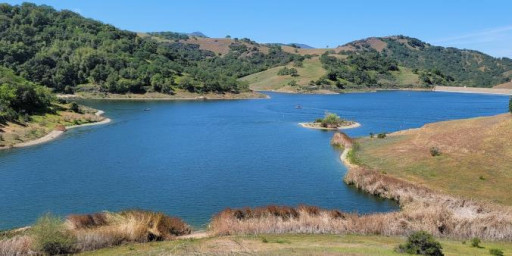 South Hills Single Track Trail Run - Summer