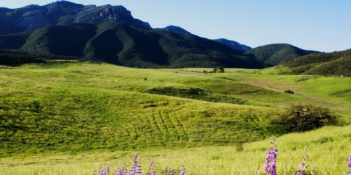 Malibu Canyon Trail Races