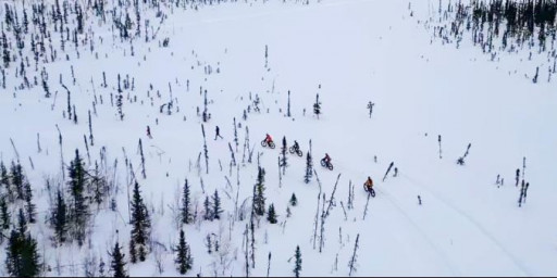 Susitna 100