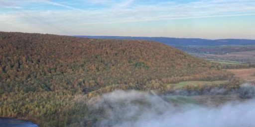 Hill to Hollow 100km