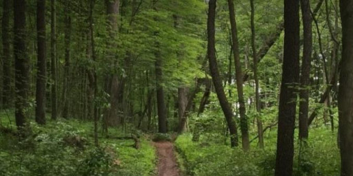 Badlands Race Series