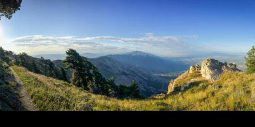 Skyline Mountain Half, Marathon, 55K