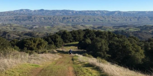 South Hills Single Track Trail Run - Spring