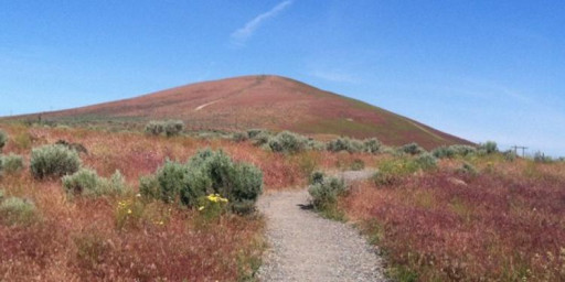 Badger Mountain Challenge