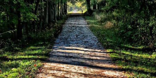 Canal Corridor 100 Mile Endurance Run