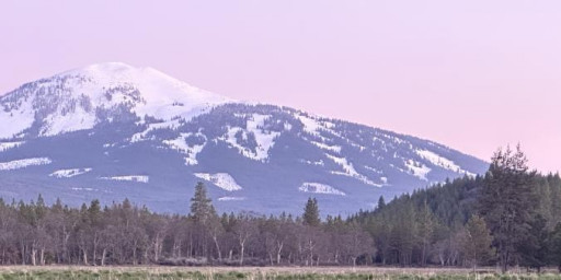 Burney Mountain 100