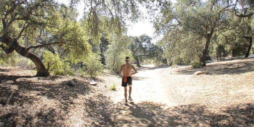 Bandit Ultra Trail