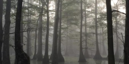 Loup Garou Trail Run