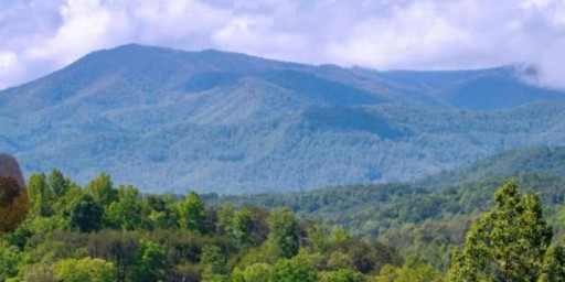 Viewpoint Endurance Challenge