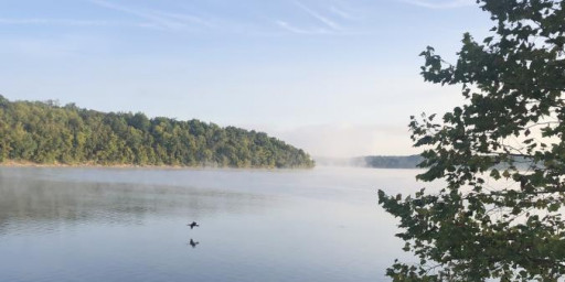 East Fork 100 mi/100K/50K/15 mi